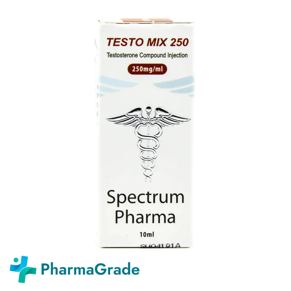 TESTO MIX 250